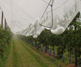 Birds & Hail Protection agricultural net – Durable Crop Safeguard