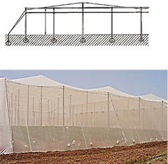 Rete a due pendenze | Protezione avanzata delle colture e controllo del clima