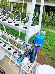 DIY Urban Automated Cultivation Facility GOLDA© – Compact Growing System