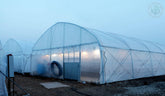 Tunnel Greenhouse – High-Performance & Cost-Effective Crop Protection