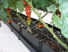 Contenitore idroelettrico per verdure ed erbe aromatiche: sistema di coltivazione idroponica efficiente