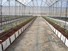 Contenitore idroelettrico per verdure ed erbe aromatiche: sistema di coltivazione idroponica efficiente